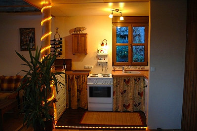 Der Küchenbereich mit Arbeitsplatte und Herd